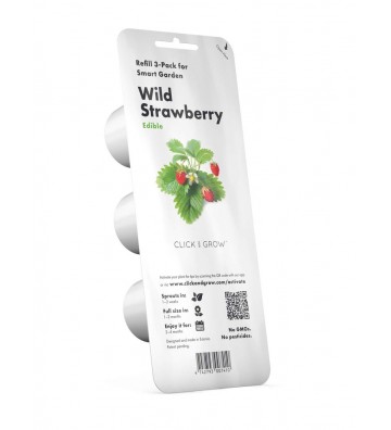 Wild Strawberry - 3-pack SGR24X3