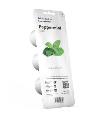 Peppermint - 3-pack SGR22X3