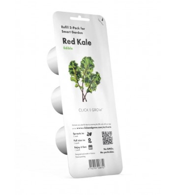 Red Kale - 3-pack SGR47x3