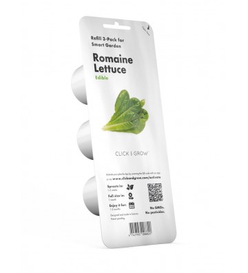 Romaine Lettuce - 3-pack SGR50X3