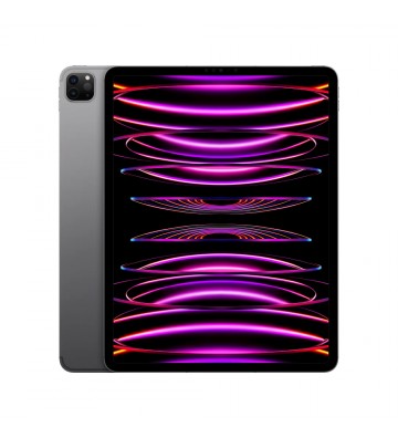 iPad Pro 11" M2 Chip Wifi 256GB Space Grey